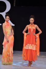 Model walk the ramp for Neeta Lulla Show at IRFW 2012 Day 2 in Goa on 29th Nov 2012 (21).JPG